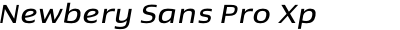 Newbery Sans Pro Xp Regular Italic